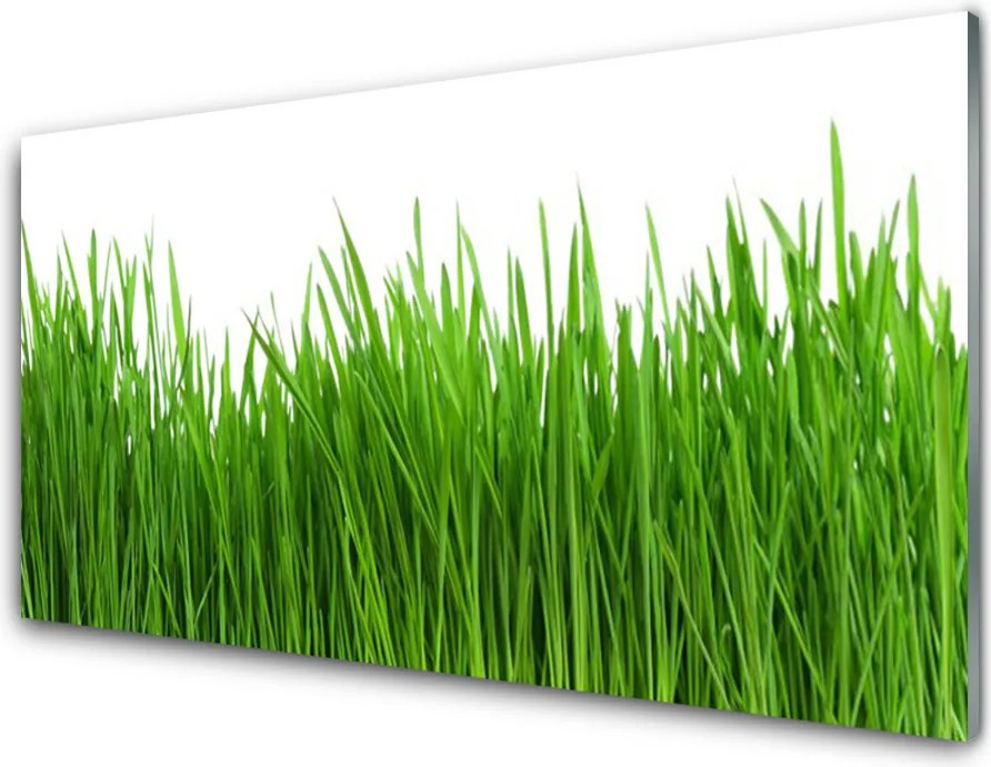 Szkło do Kuchni na Ścianę Naturalny Dywan Zieleni