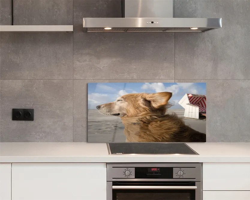 Szklany Panel Pies na Nadmorskiej Plaży