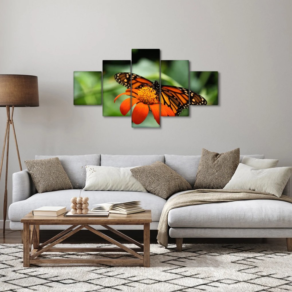 Obraz motyla na kwiatku (125x70 cm)