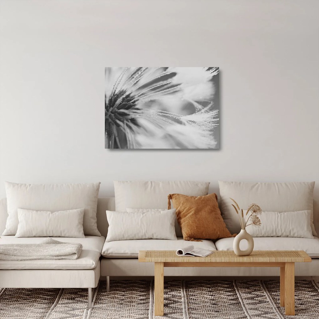 Obraz na szkle - Mlecz (70x50 cm)