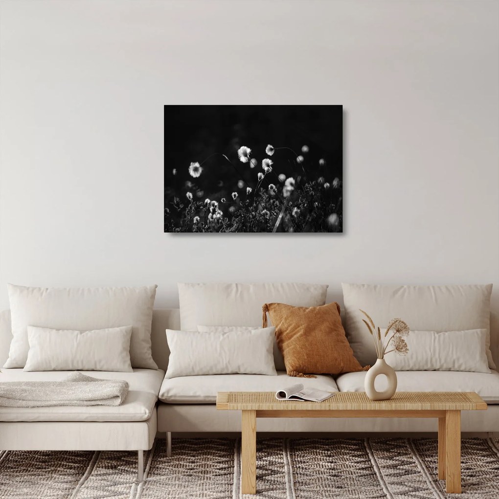Obraz na szkle - Łąka z trawą bawełnianą N⁰1 (70x50 cm)