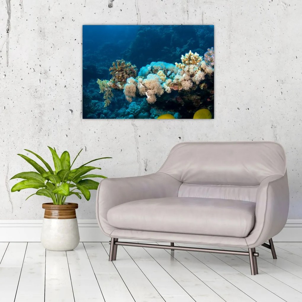 Obraz - W oceanie (70x50 cm)