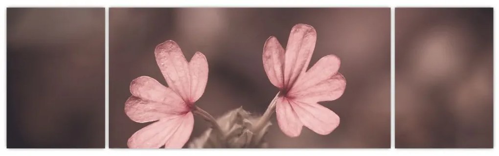 Obraz kwiatu róży (170x50 cm)