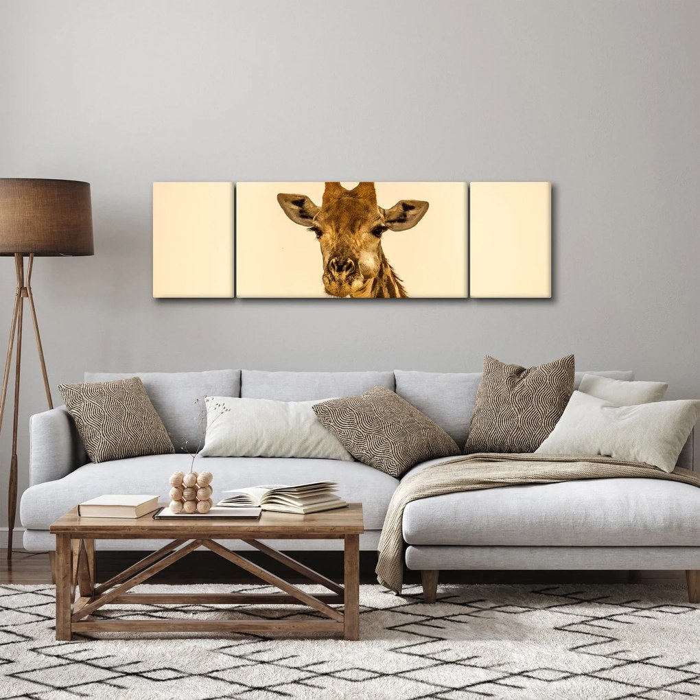 Obraz żyrafy (170x50 cm)