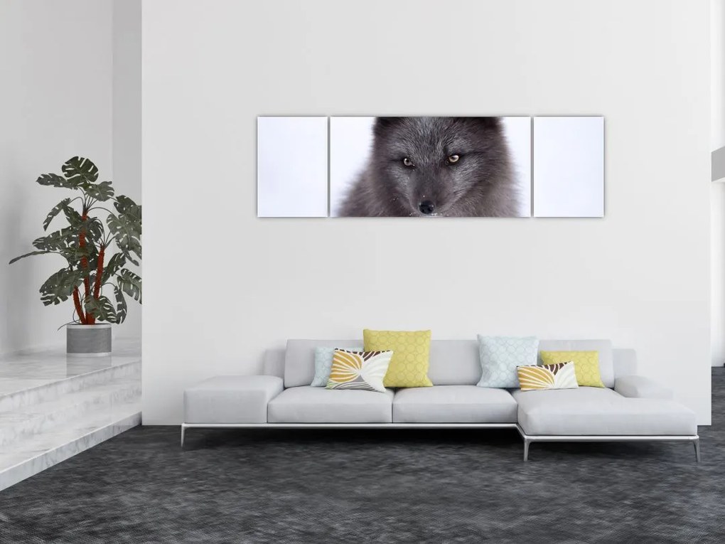 Obraz lisa śnieżnego (170x50 cm)