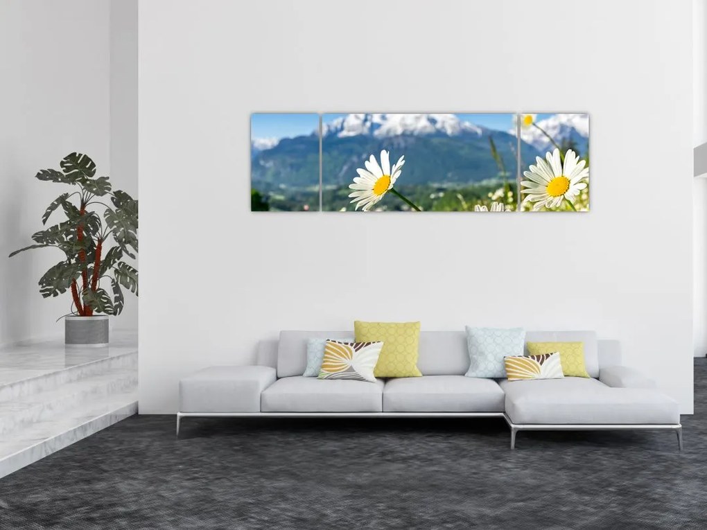 Obraz - Wiosna w Alpach (170x50 cm)