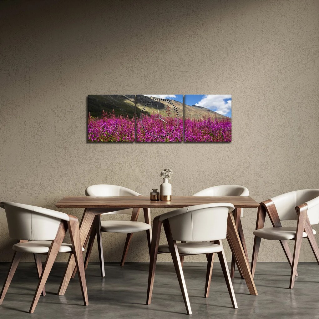 Obraz scenerii łąki górskiej (z zegarem) (90x30 cm)