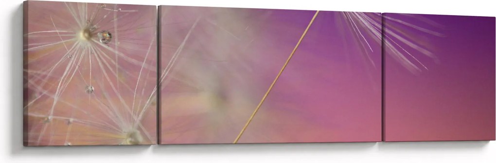 Zdjęcie szczęścia (170x50 cm)