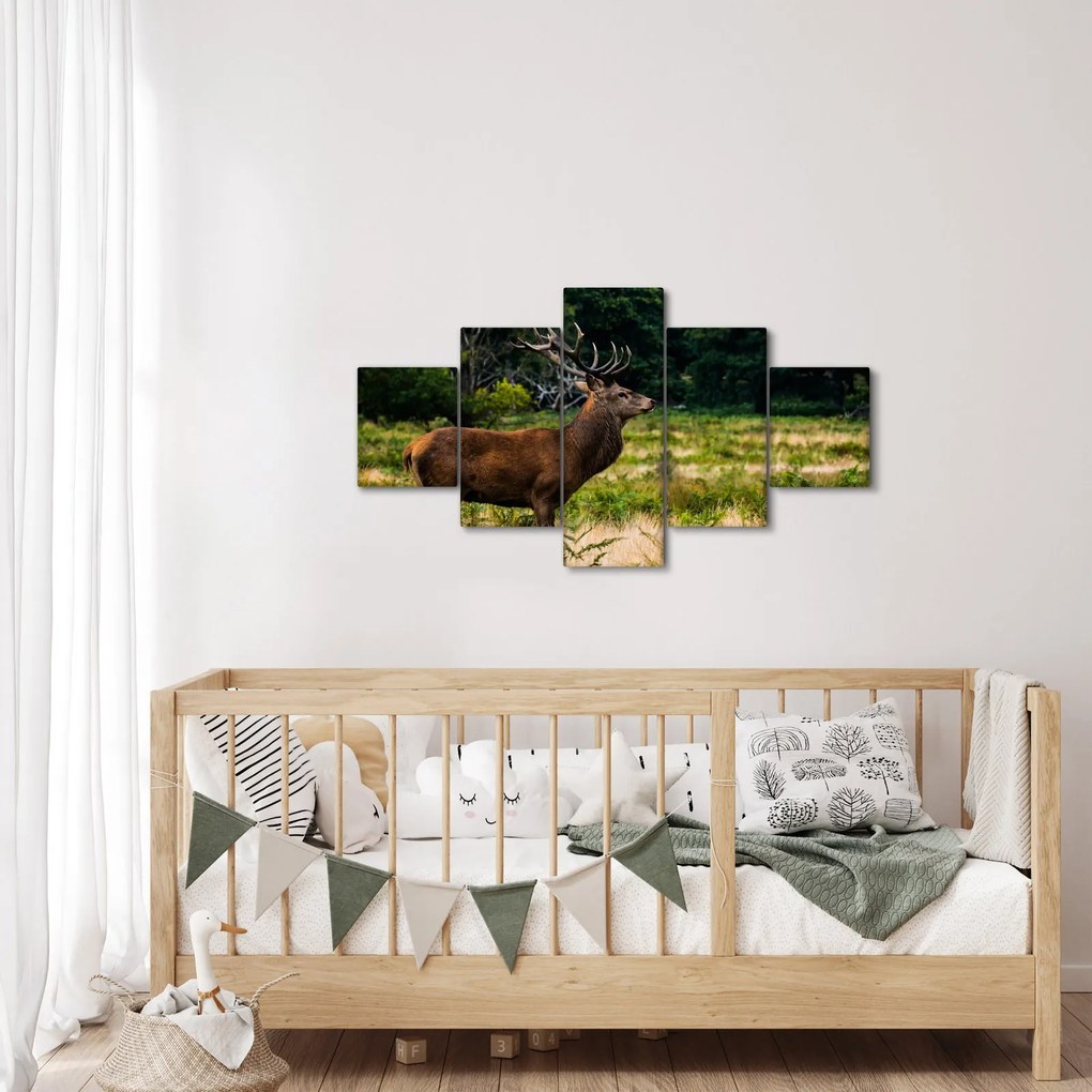 Obraz jelenia (125x70 cm)