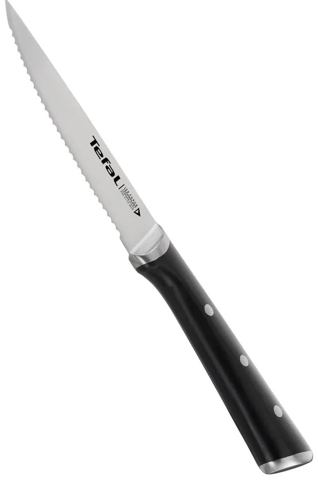Zestaw noży ze stali nierdzewnej do steków 4 szt. Ice Force – Tefal