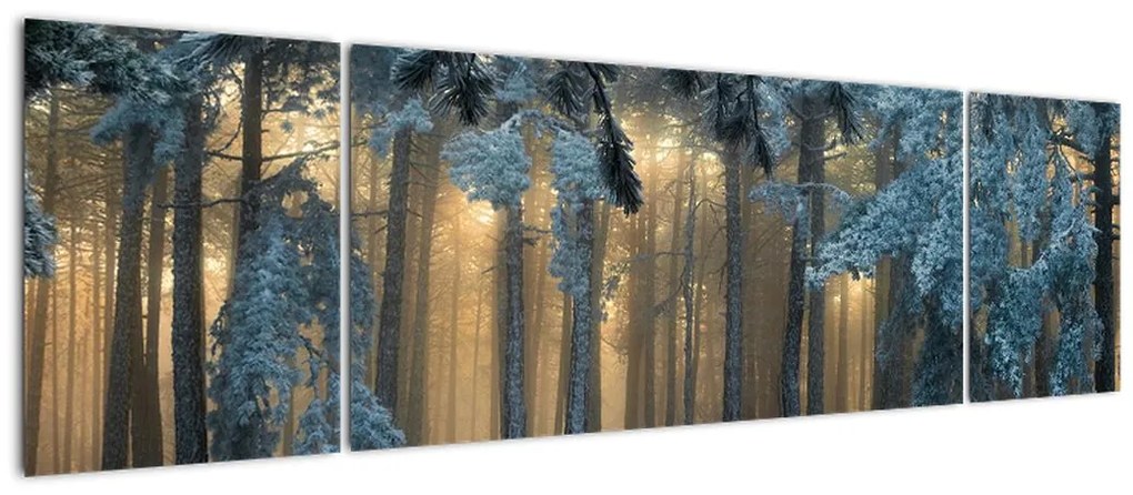 Obraz zaśnieżonego lasu (170x50 cm)