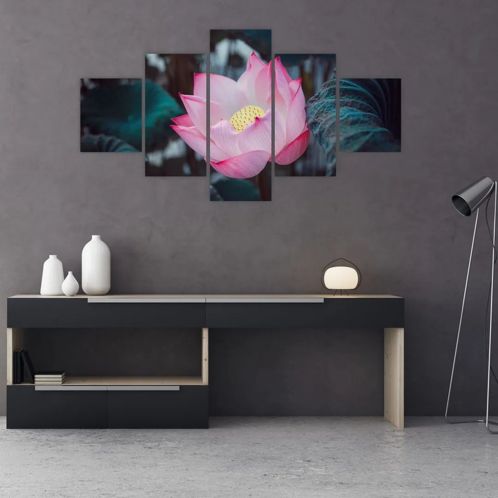 Obraz różowego kwiatu (125x70 cm)
