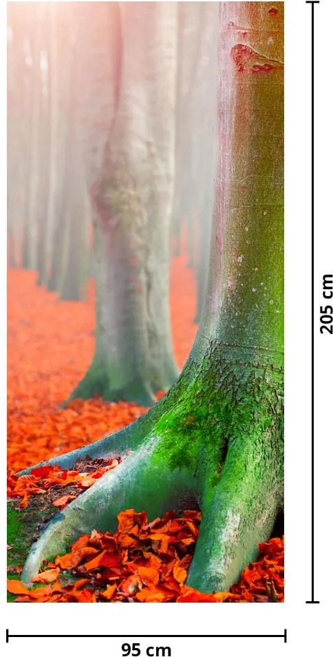 Fototapeta na drzwi - Drzewa (95x205cm)