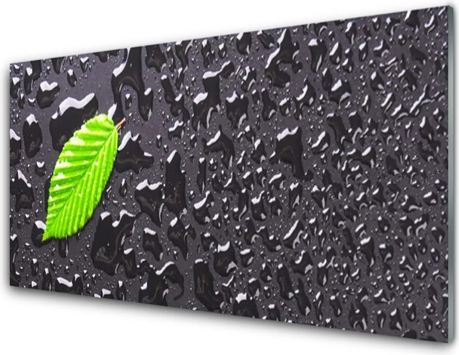 Szkło do Kuchni na Ścianę Rosa Na Młodym Liściu