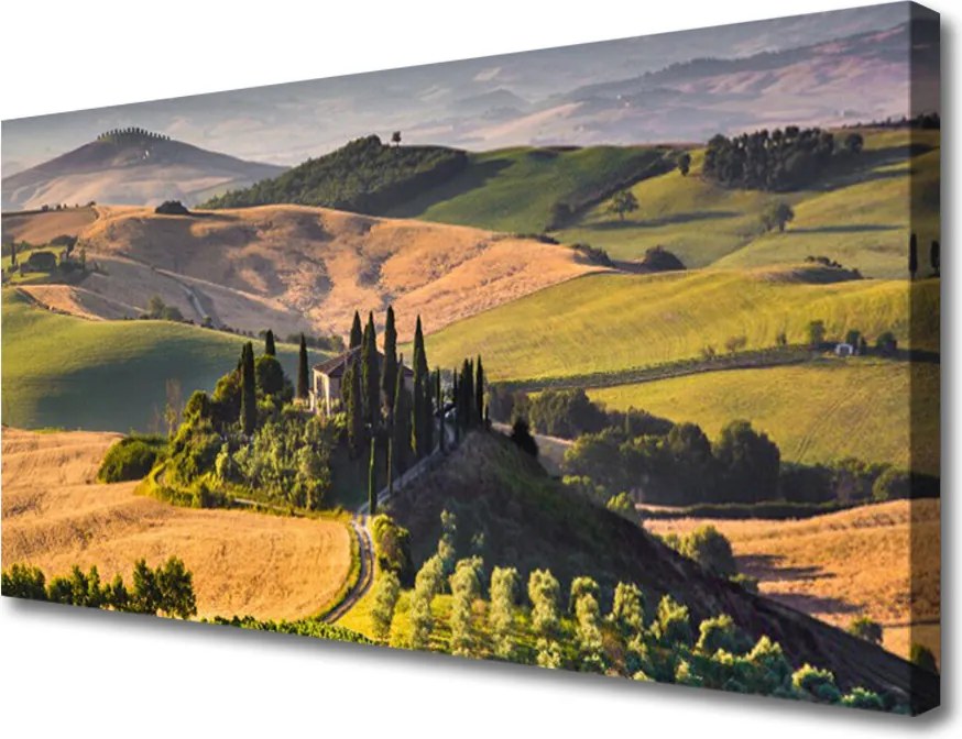 Obraz canvas Sielska Chata na Wyżynie