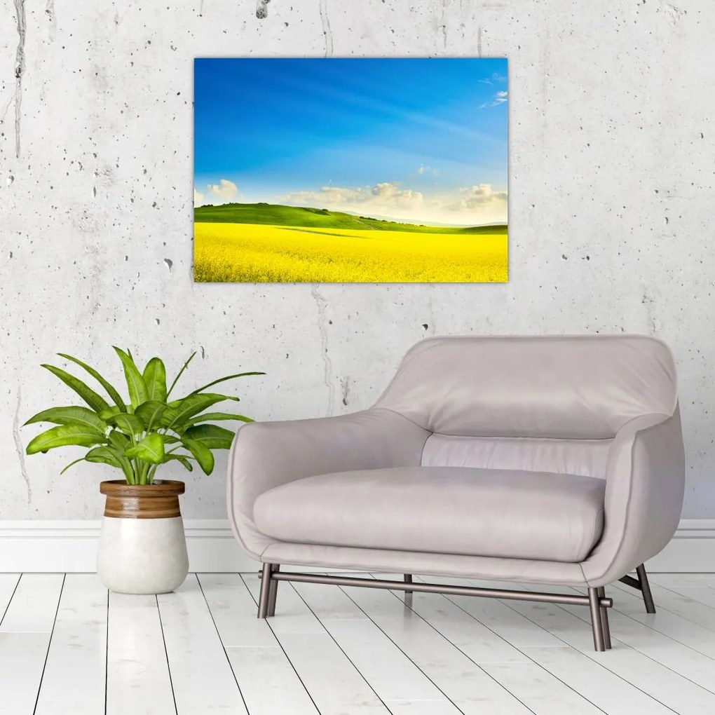 Obraz - Wiosenne niebo (70x50 cm)