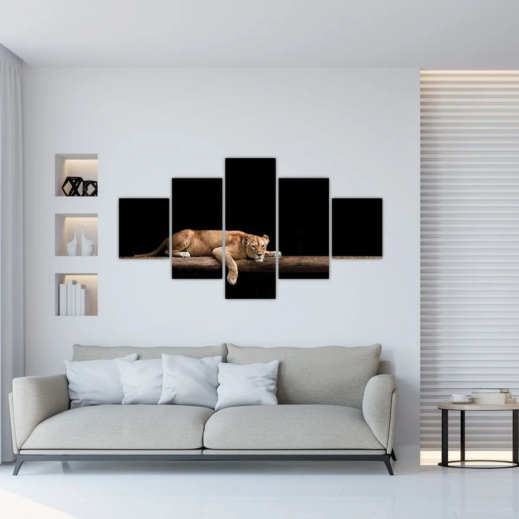 Obraz - Lwica (125x70 cm)