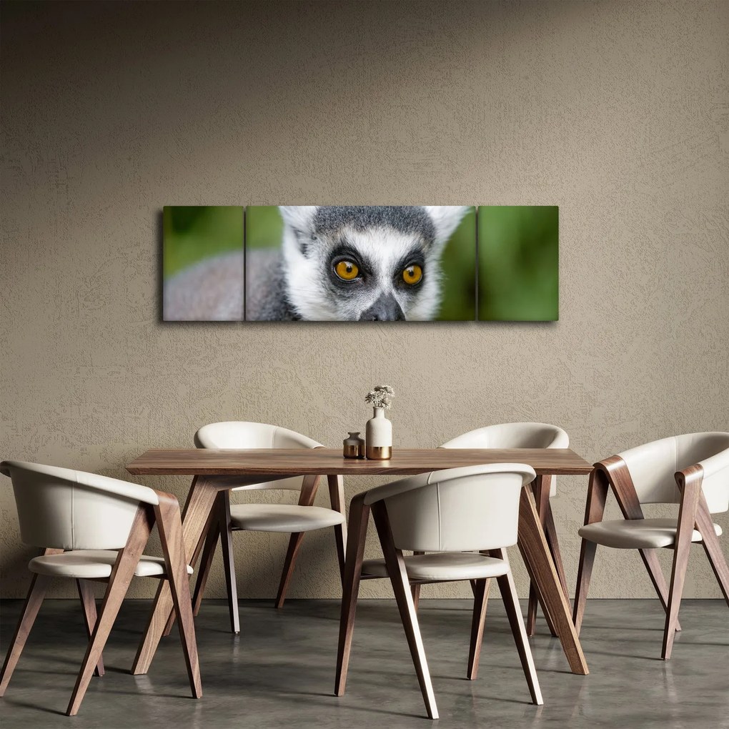Obraz lemura (170x50 cm)
