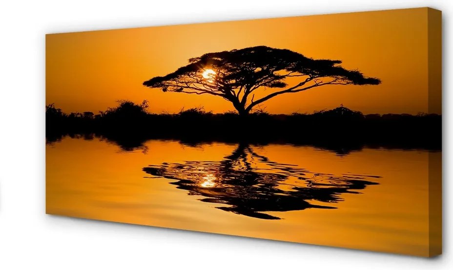 Obraz drukowany na płótnie Drzewo o Zachodzie Słońca