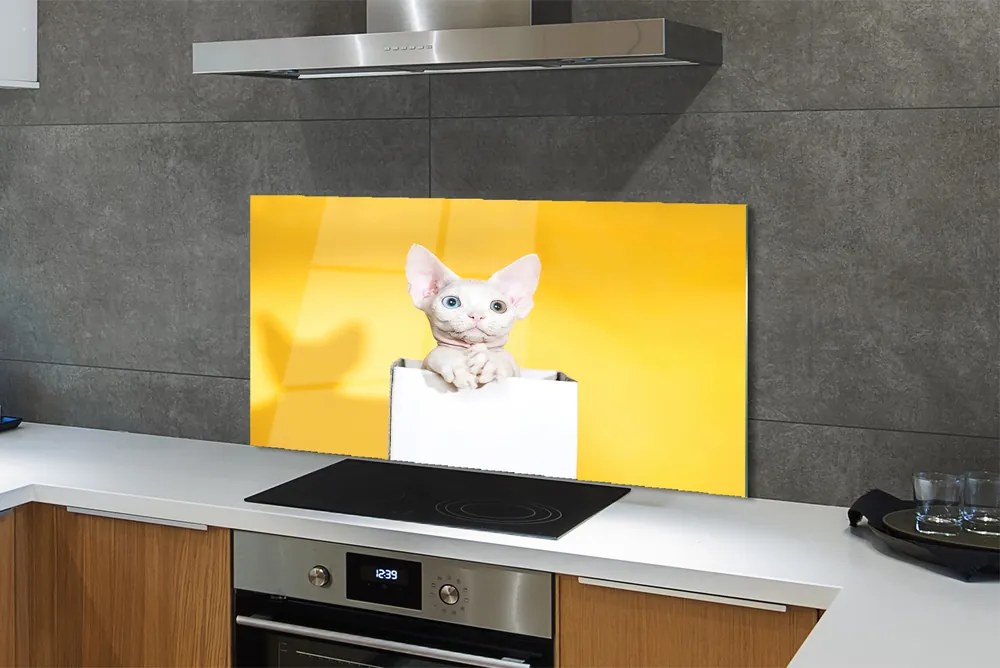 Panel szklany do Kuchni Kot w Oczekiwaniu