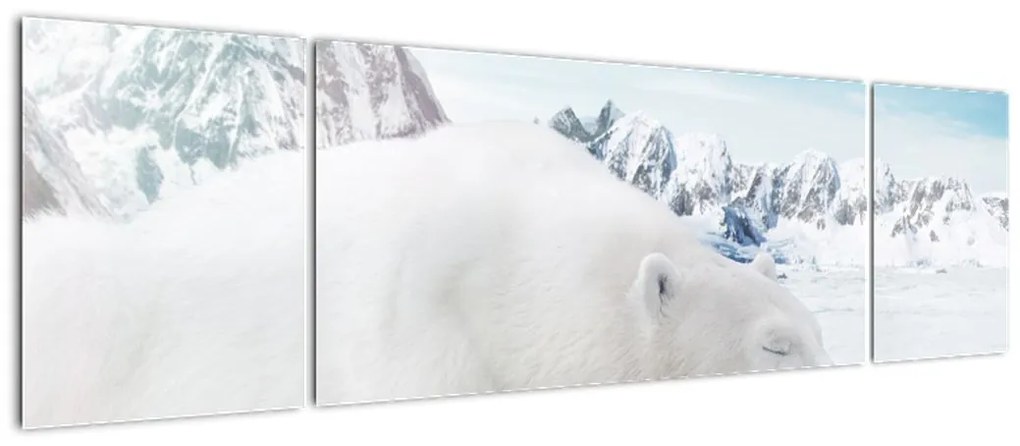 Obraz - Niedźwiedź polarny (170x50 cm)