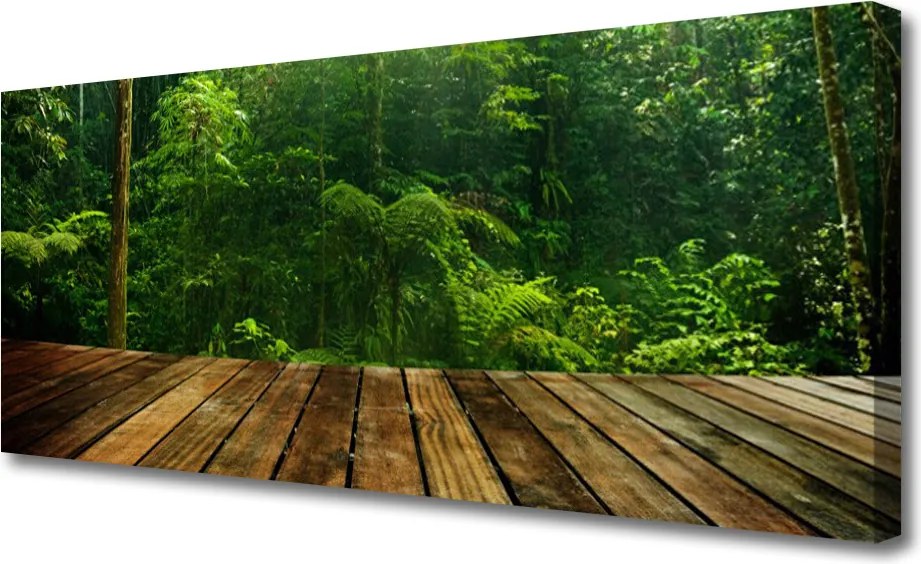 Obraz na płótnie Gęstwina Zielonego Lasu