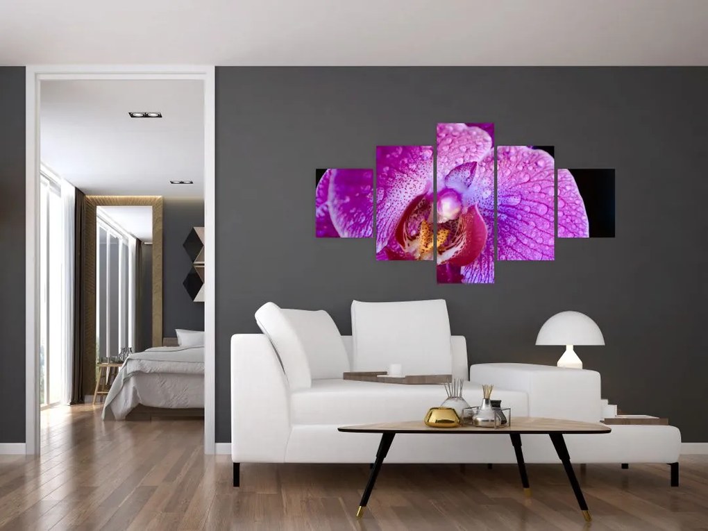 Zbliżenie kwiatu orchidei (125x70 cm)