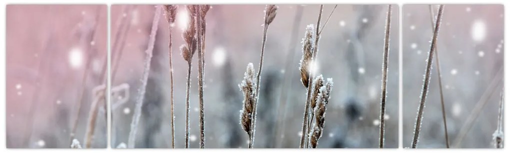 Obraz - Chwila (170x50 cm)