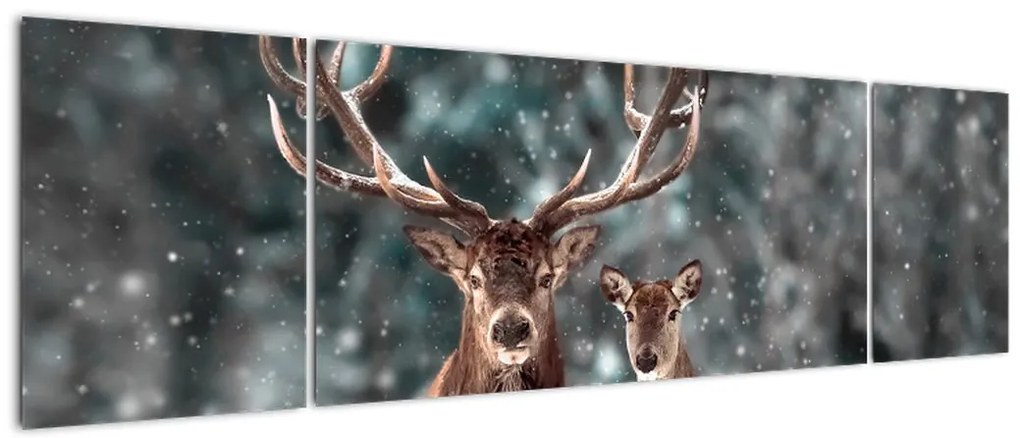 Obraz - Jeleń i łania w zaśnieżonym lesie (170x50 cm)