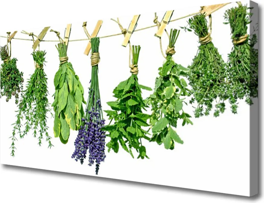 Obraz canvas na ścianę Płatki Ziół i Kwiatów