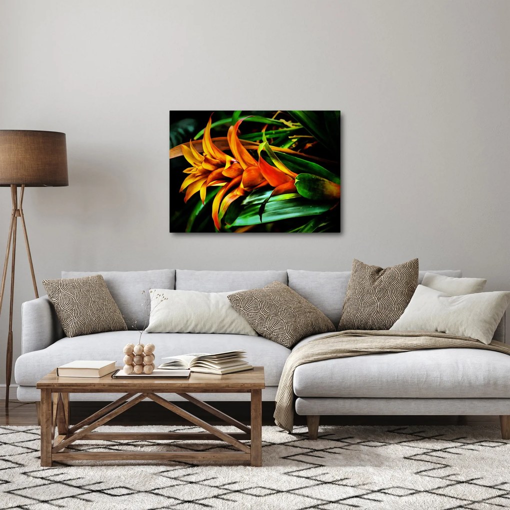 Obraz pomarańczowego kwiatu (70x50 cm)
