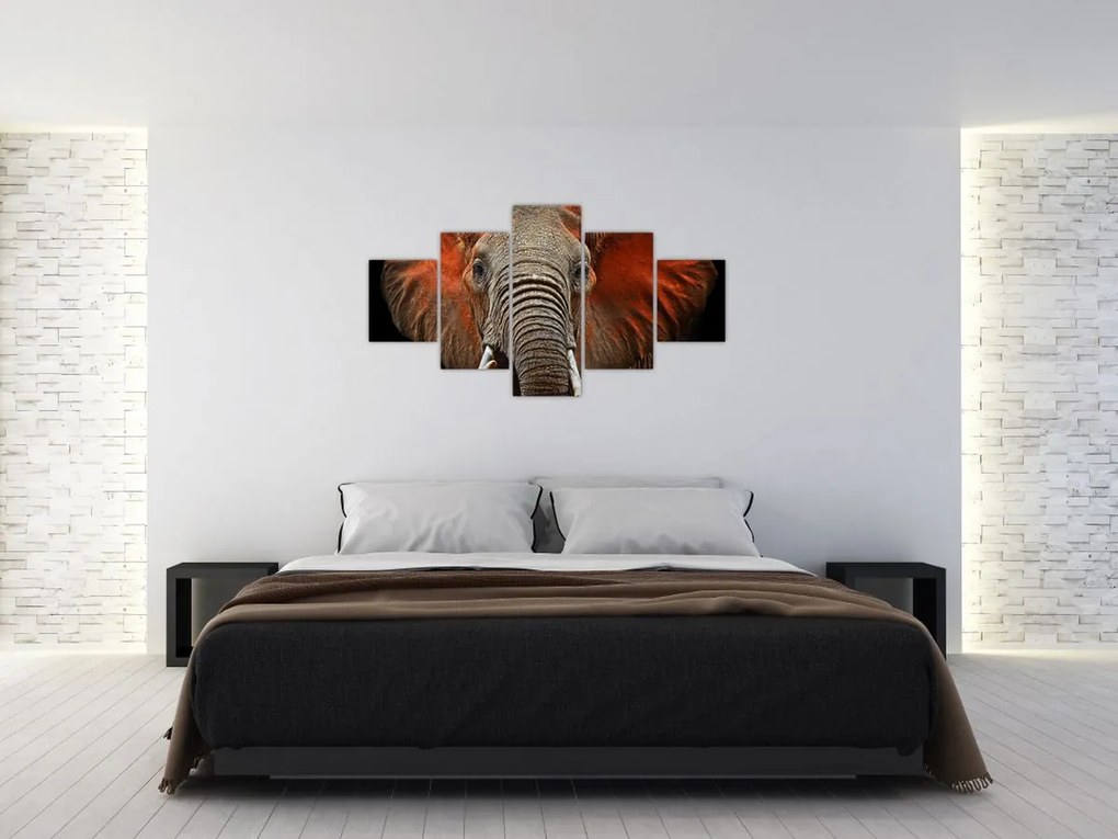 Obraz - Słonie z Tsavo (125x70 cm)