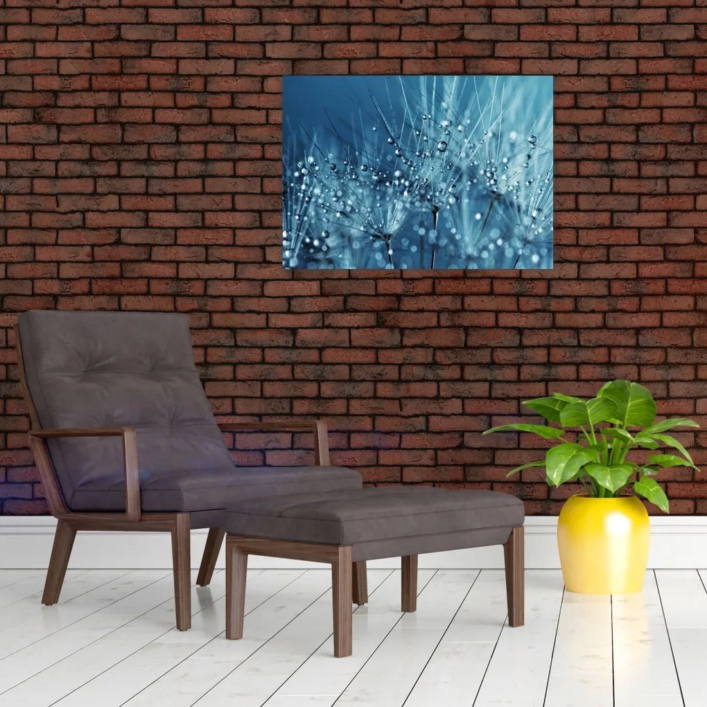 Obraz na szkle - Krople rosy (70x50 cm)