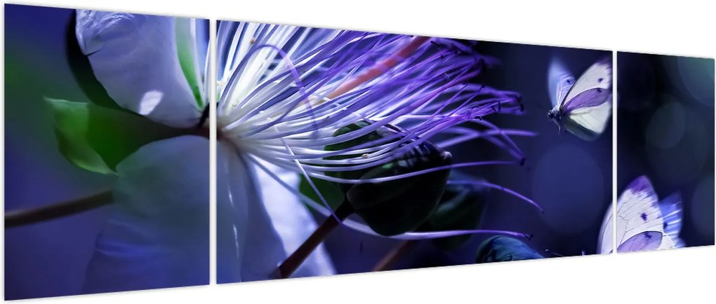Obraz - Tropikalny kwiat (170x50 cm)