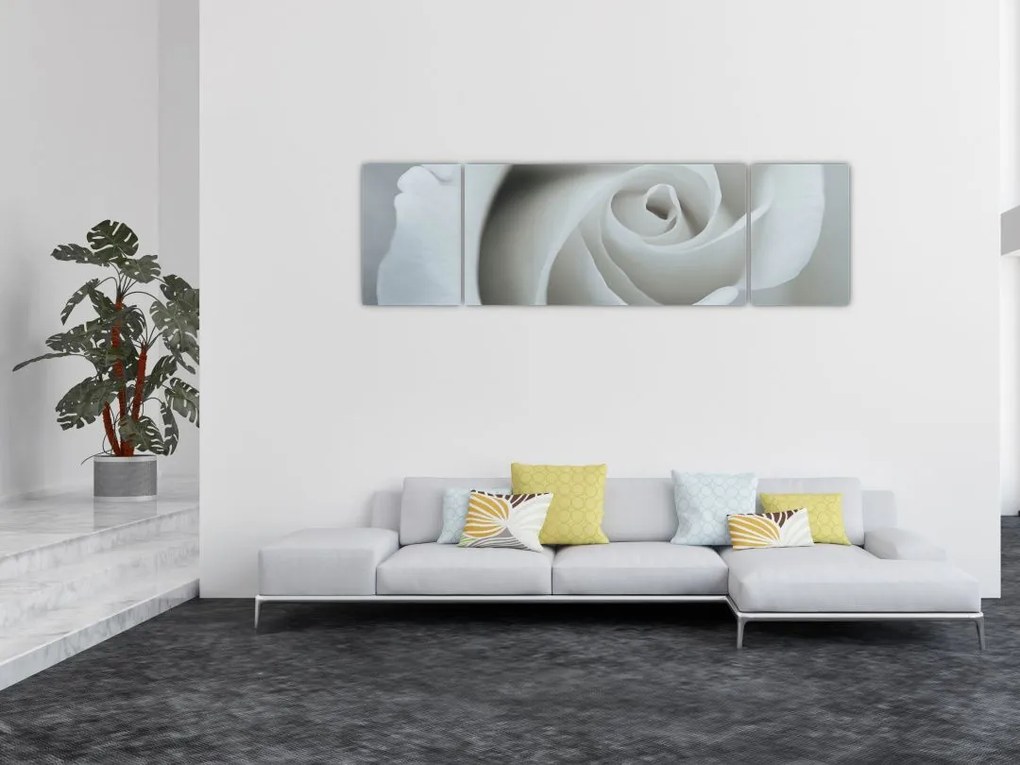 Obraz - Biała róża (170x50 cm)