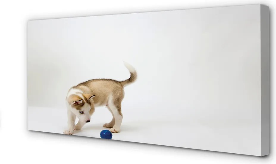 Duży obraz na płótnie Radosny, Bawiący się Pies