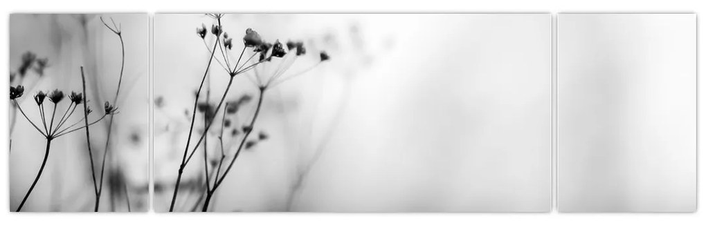 Obraz - Detal kwiatów polnych (170x50 cm)