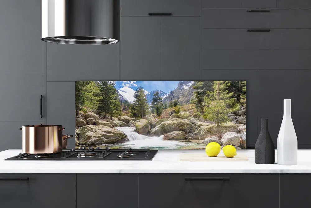 Panel Szklany Dziki Potok w Górskim Lesie