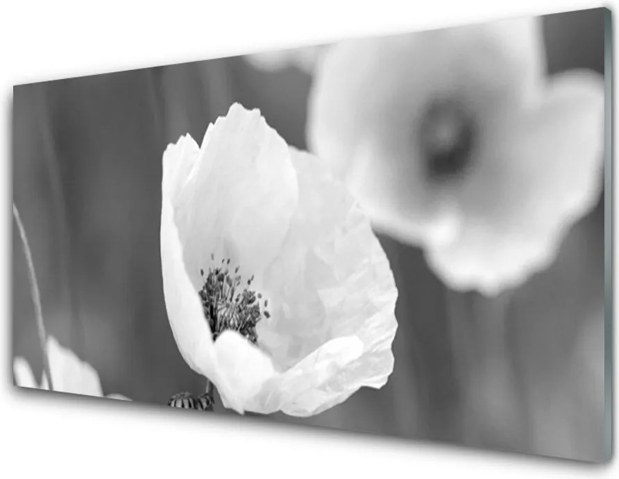 Panel Szklany do Kuchni Klasyczny Motyw Maków