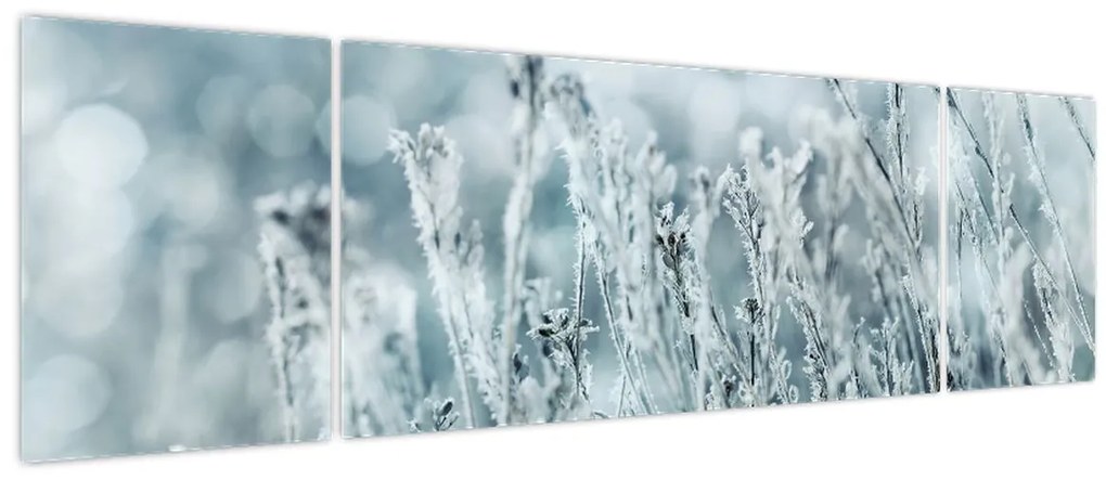 Obraz - Magia zimy (170x50 cm)