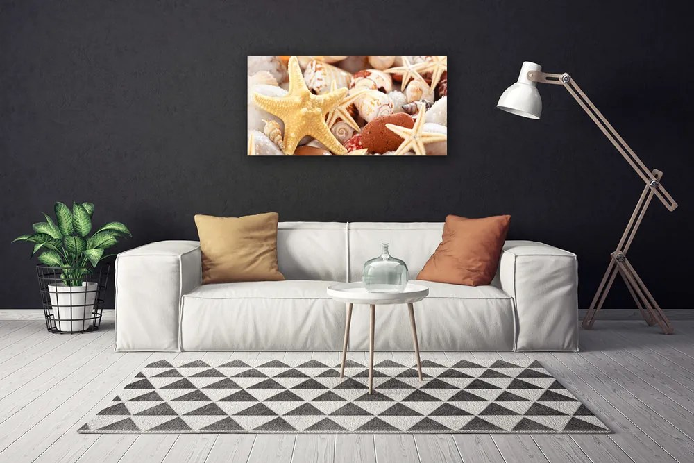 Obraz canvas Kompozycja Muszli na Brzegu