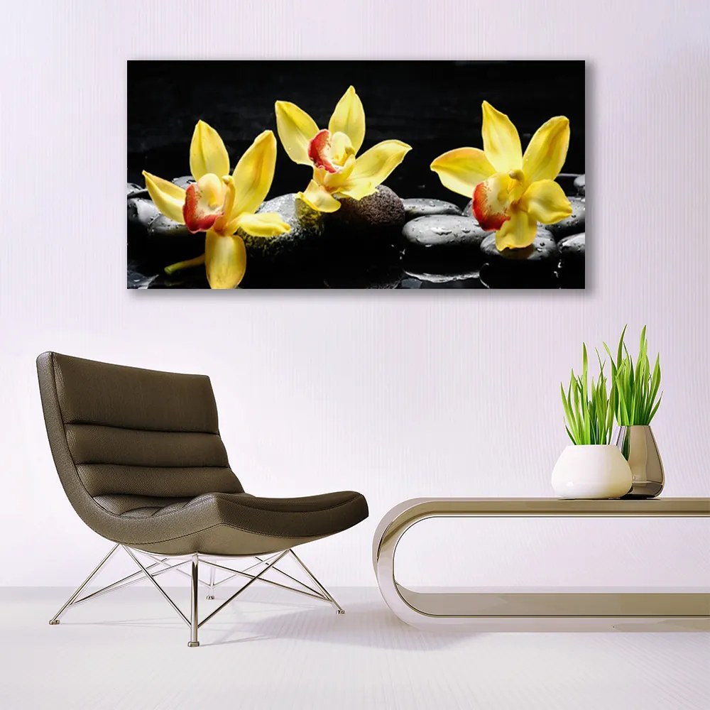 Obraz Canvas Kwiat Orchidea Roślina