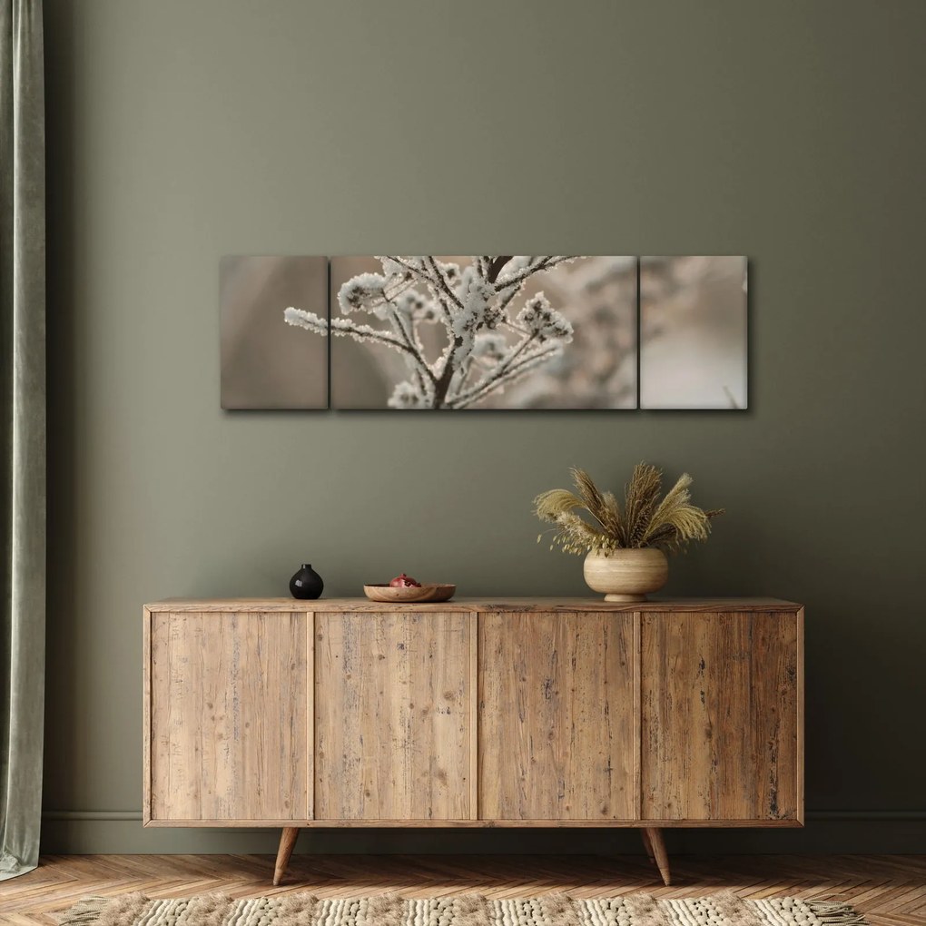 Obraz - Roślina w mrozie (170x50 cm)