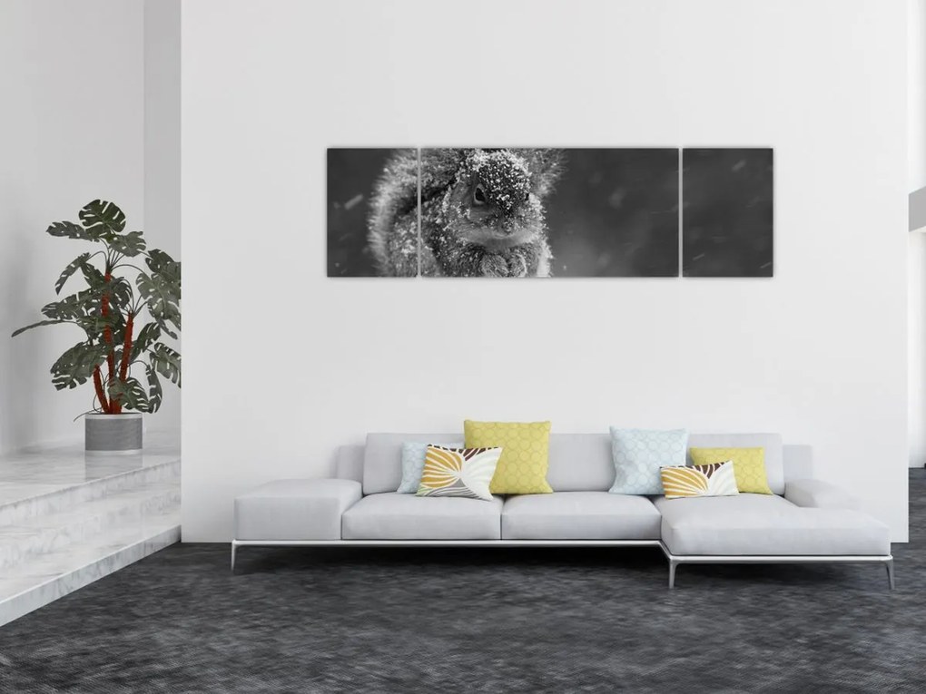 Obraz - Wiewiórka zimą (170x50 cm)
