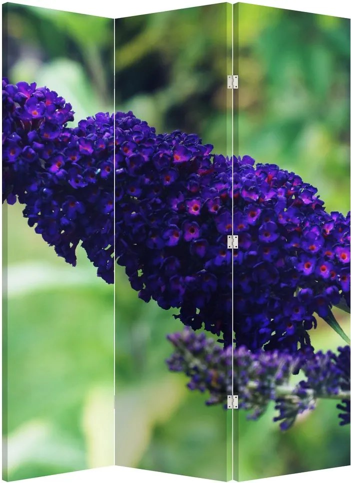 Parawan - Niebieski kwiat (126x170 cm)