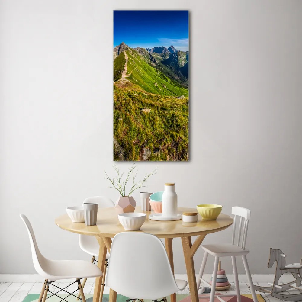 Fotoobraz szklany na ścianę do salonu Tatry