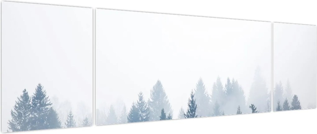 Obraz - Mglisty las (170x50 cm)