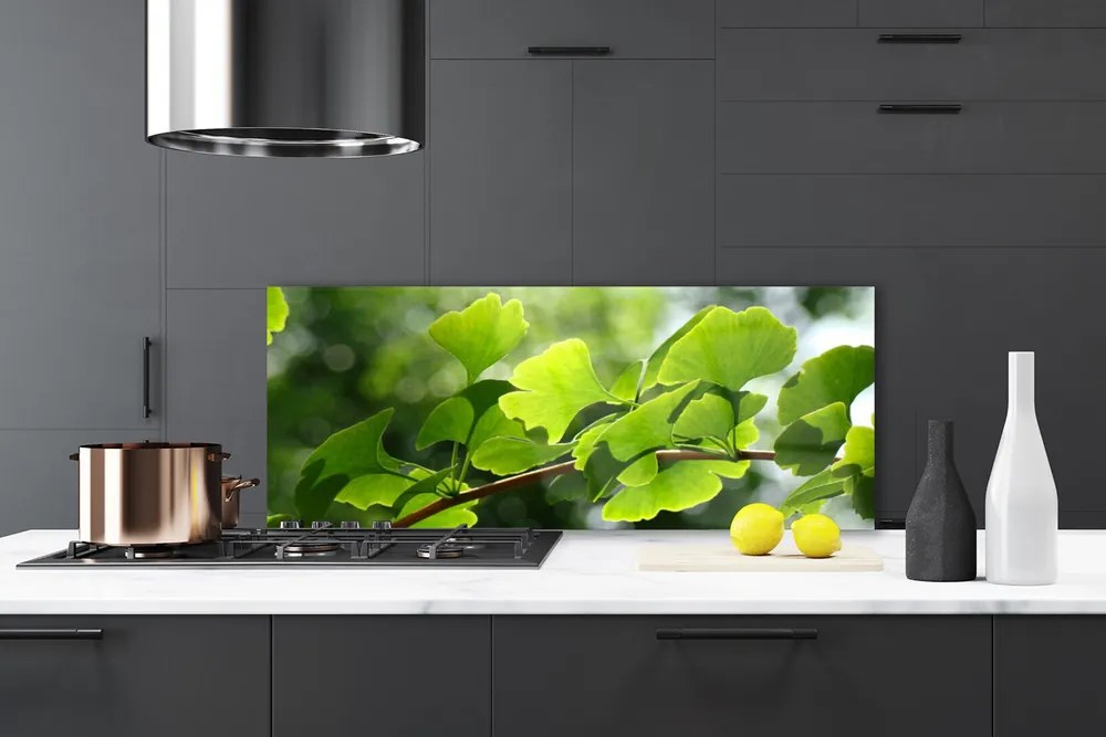 Panel Szklany Zielone Liście na Gałęzi