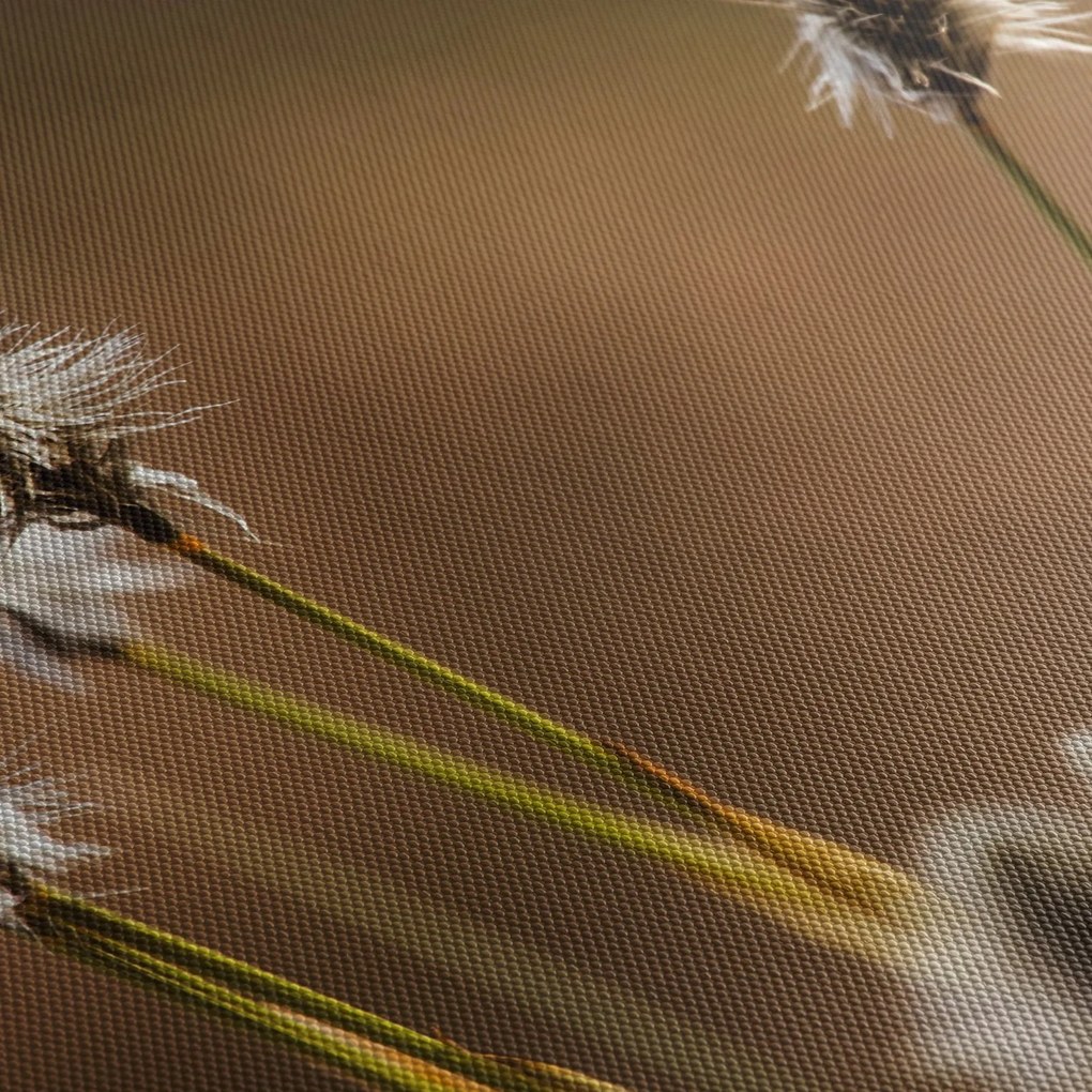 Obraz - Trawa (170x50 cm)