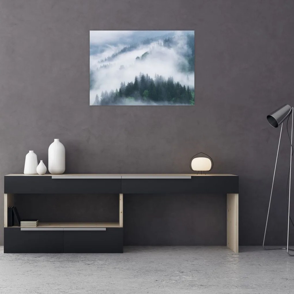 Obraz - Drzewa we mgle (70x50 cm)